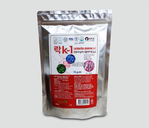 韩国微胶囊肠道健康护肤乳酸菌（500克/包）