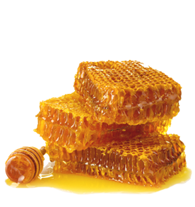 俄罗斯蜂蜜