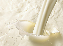 美国全脂奶粉26％
