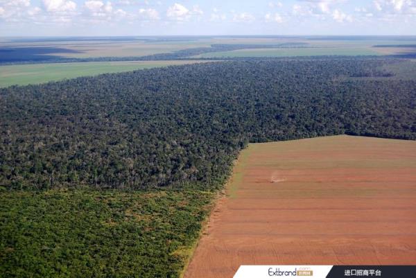 deforestation brazil Phototreat