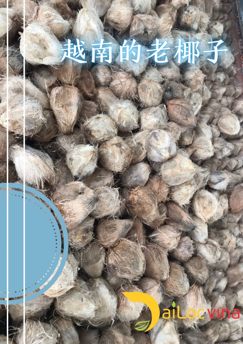 越南的老椰子，天然进口食品，无公害产品