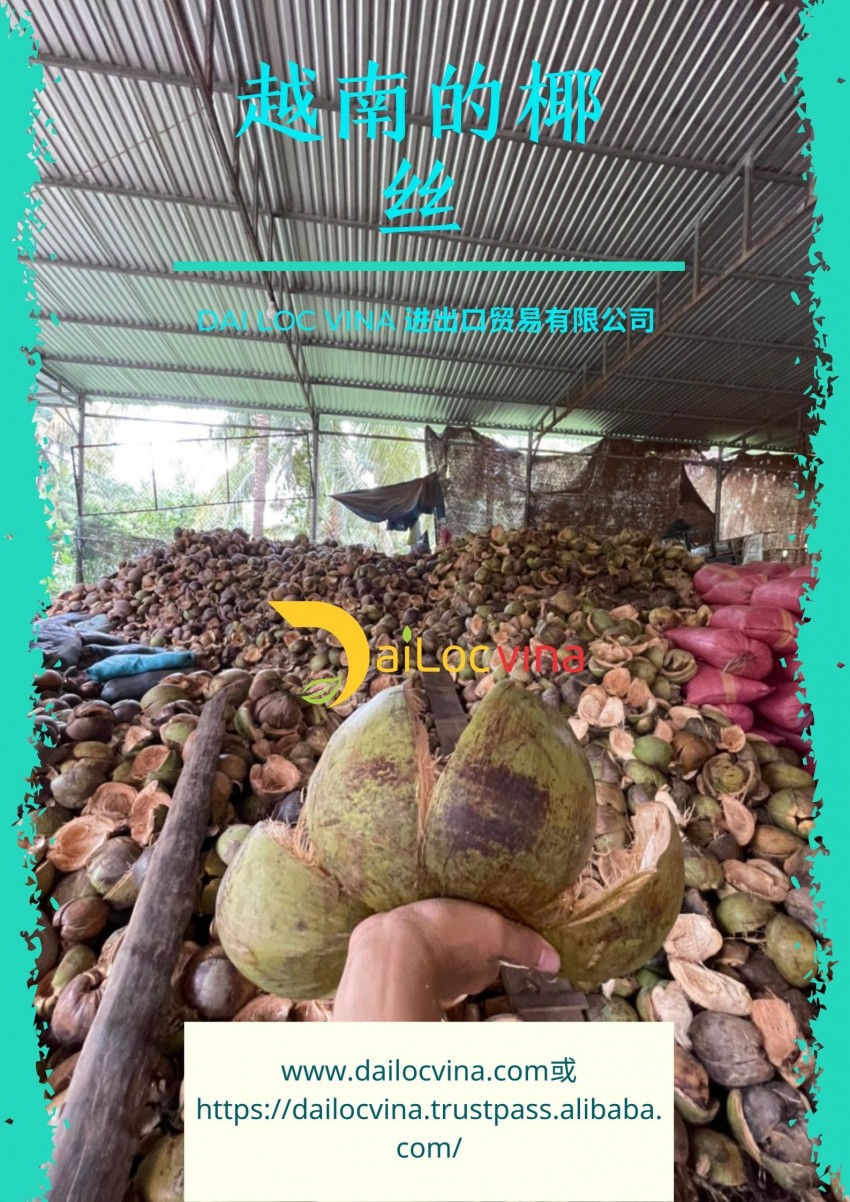 越南的椰丝、椰棕、椰壳纤维