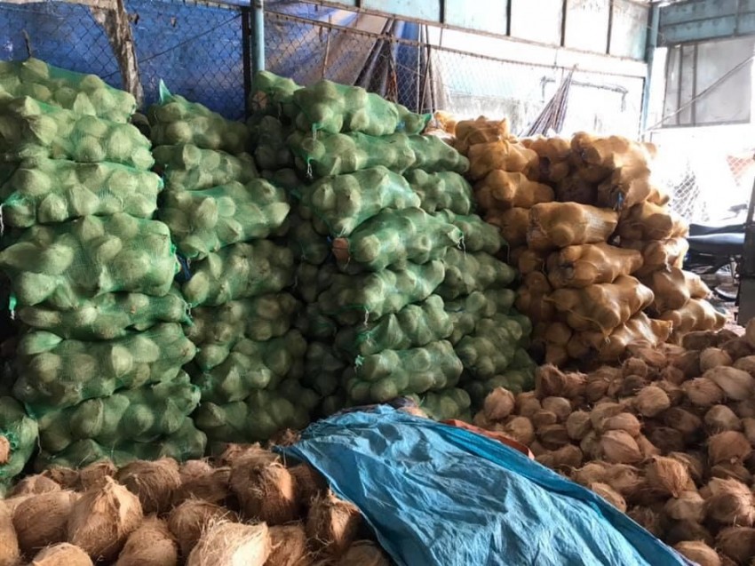 越南原产地进口干椰子