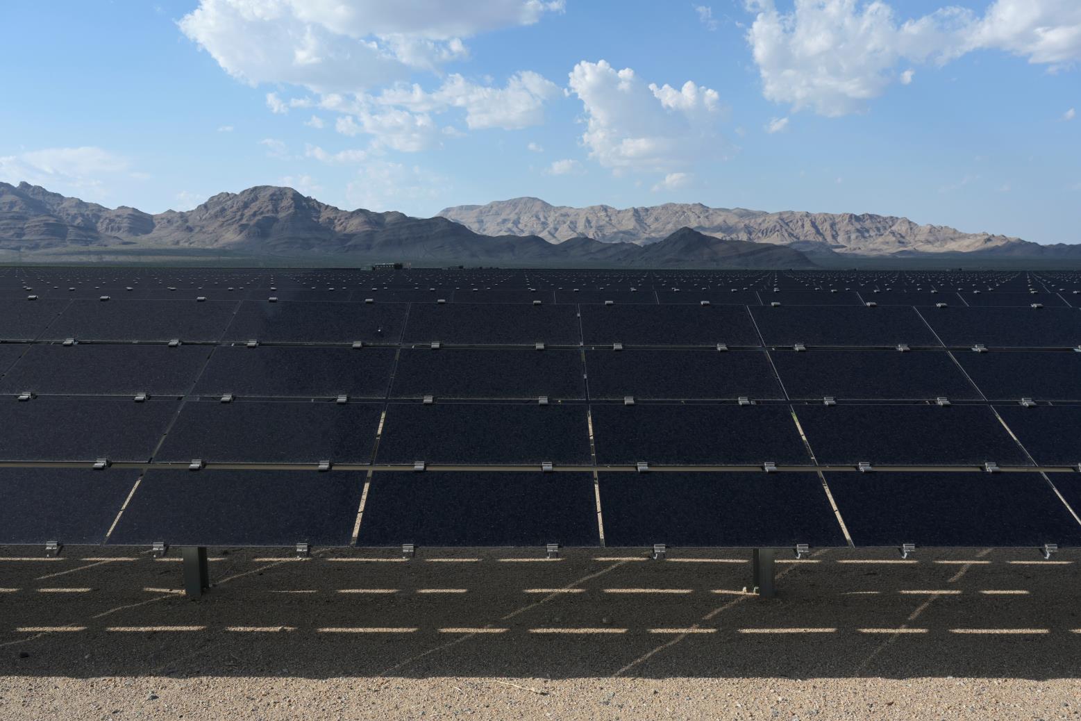 Solar panels are seen at the Desert Stateline project near Nipton, California, U.S. August 16, 2021. Picture taken August 16, 2021.  REUTERS/Bridget Bennett/File Photo