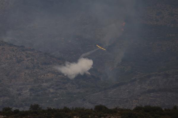 A plane throws water in a wildfire near Artesa de Segre