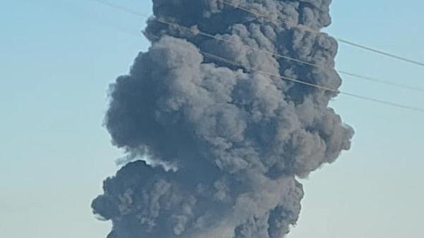 在德克萨斯州迪米特的奶牛场火灾中，18000头奶牛死亡:我们知道什么