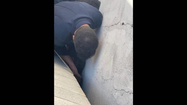 The “beloved” canine got stuck in a crack between two co<em></em>ncrete building fleeing the sound of fireworks, officials said.