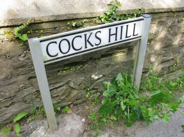 Cocks sign