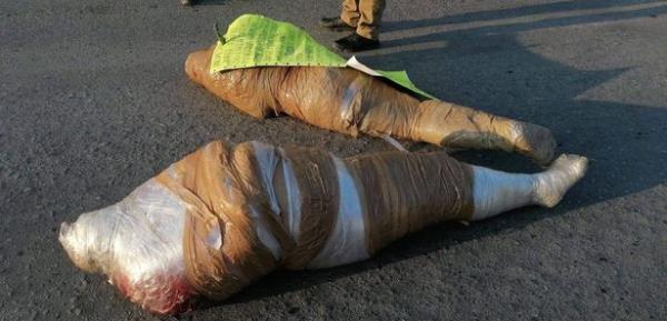 The corpses were wrapped in plastic and packing tape