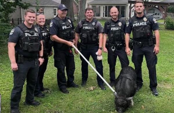 six officers proudly posed for a photo with Mr. BaconBits