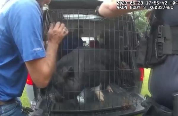 Mr. BaconBit’s owners brought a large dog crate and safely took him home