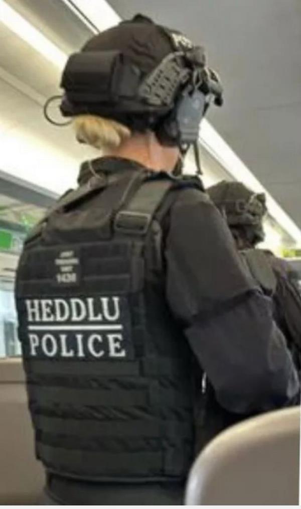 Armed cops were seen on the train