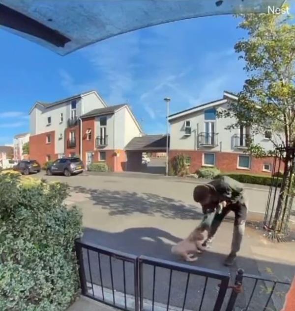 A grab from a doorbell video showing a vile man repeatedly punching his dog after it briefly stopped while he was walking