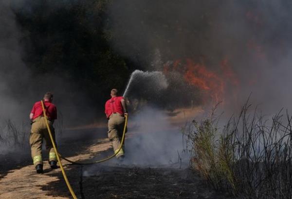 Grassfires are set to become more common