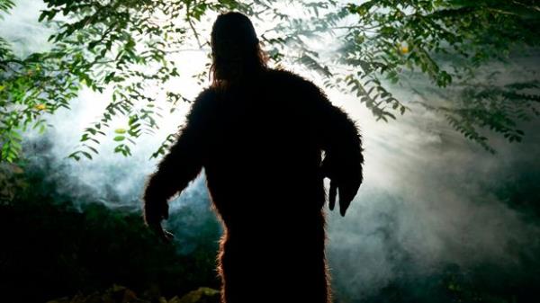 The spotter posted on the Bigfoot Believers Facebook group, sharing their discovery (stock image)