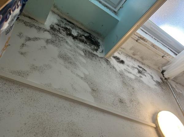 The build up of mould in the the bathroom, kitchen, walls and ceilings makes for an inhabitable living space.