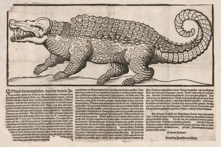 Popular Print With Representation Of A Crocodile