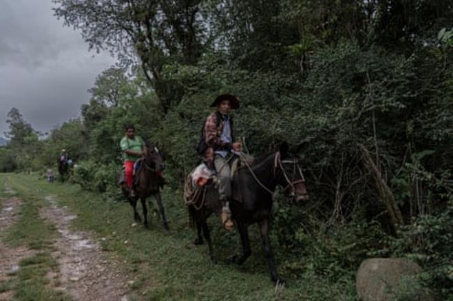 Three men riding horses along a line of trees as a woman walks alo<em></em>ngside one