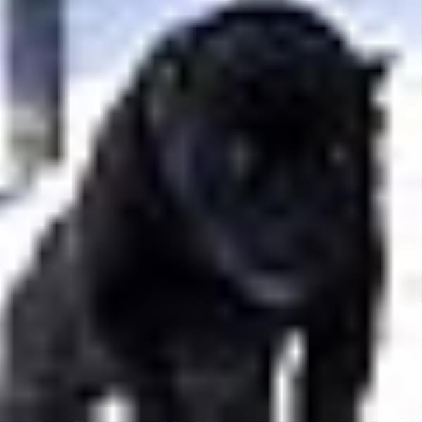 johnmosley_1 avatar