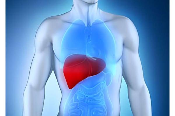 Race, ethnicity plays role in liver transplant survival