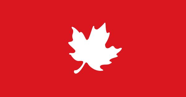 最新公布的纳税申报表显示，乔·拜登和他的妻子收入增长了7%