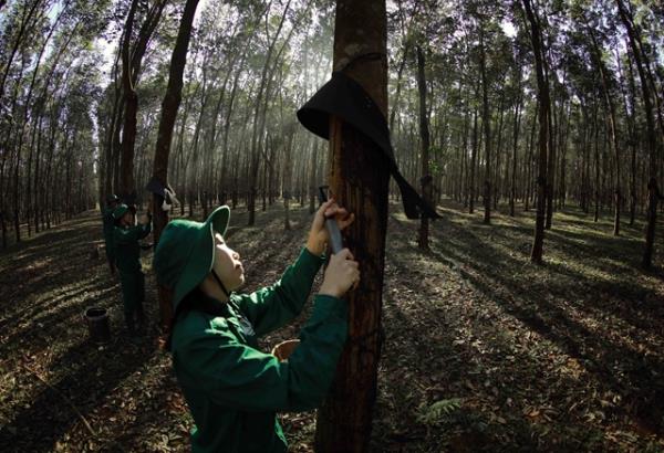 外国投资者净抛售强劲，vn指数扩大跌幅