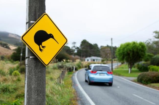 A roadside kiwi sign in Mākara.