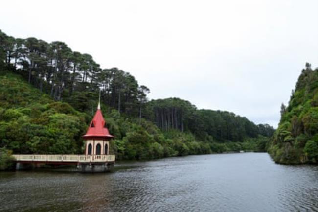 Inside the Zealandia reserve in Wellington earlier this month. A building on a lake or river.