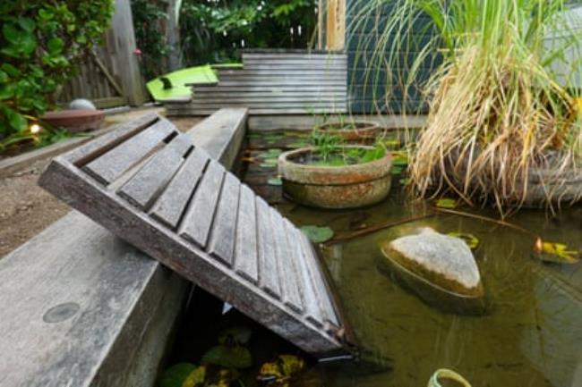 A makeshift ladder in a pond at the Karaka Bays home of Danae Mossman to help penguins clamber out.