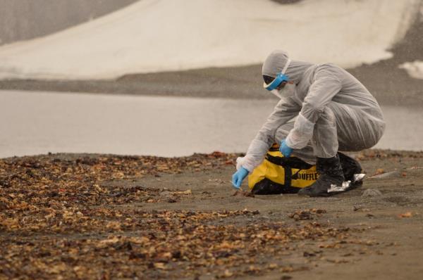 A researcher wears a protective suit while collecting samples of wildlife, wher<em></em>e the H5N1 bird flu virus was detected.
