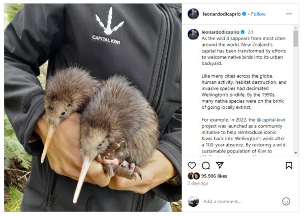 Leo<em></em>nardo DiCaprio posted on his Instagram a<em></em>bout the Capital Kiwi project in Wellington.