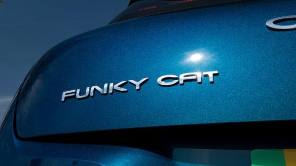 Ora Funky Cat badge