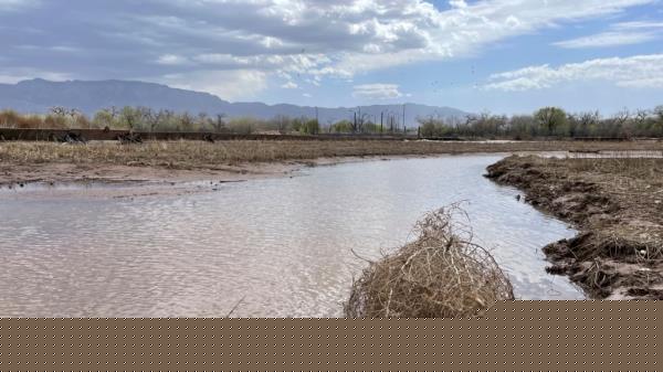 FILE - This April 10, 2022, image shows the Rio Grande in Albuquerque, New Mexico. Mexico and the U.S. said they have reached an agreement they hope will help Mexico be timelier with its water-sharing payments in the Rio Bravo watershed, also known as the Rio Grande. 