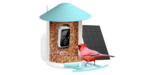 NETVUE by Birdfy Smart Bird Feeder with Camera