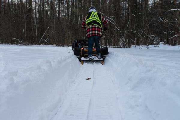 追逐达勒姆地区森林里的雪狗