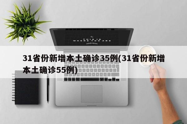 31省份新增本土确诊35例(31省份新增本土确诊55例)
