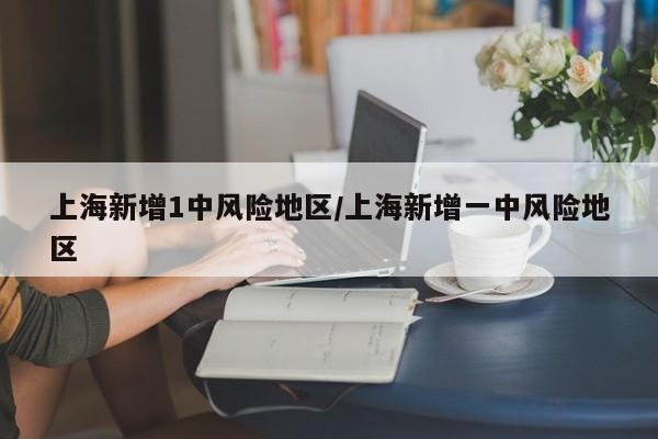 上海新增1中风险地区/上海新增一中风险地区